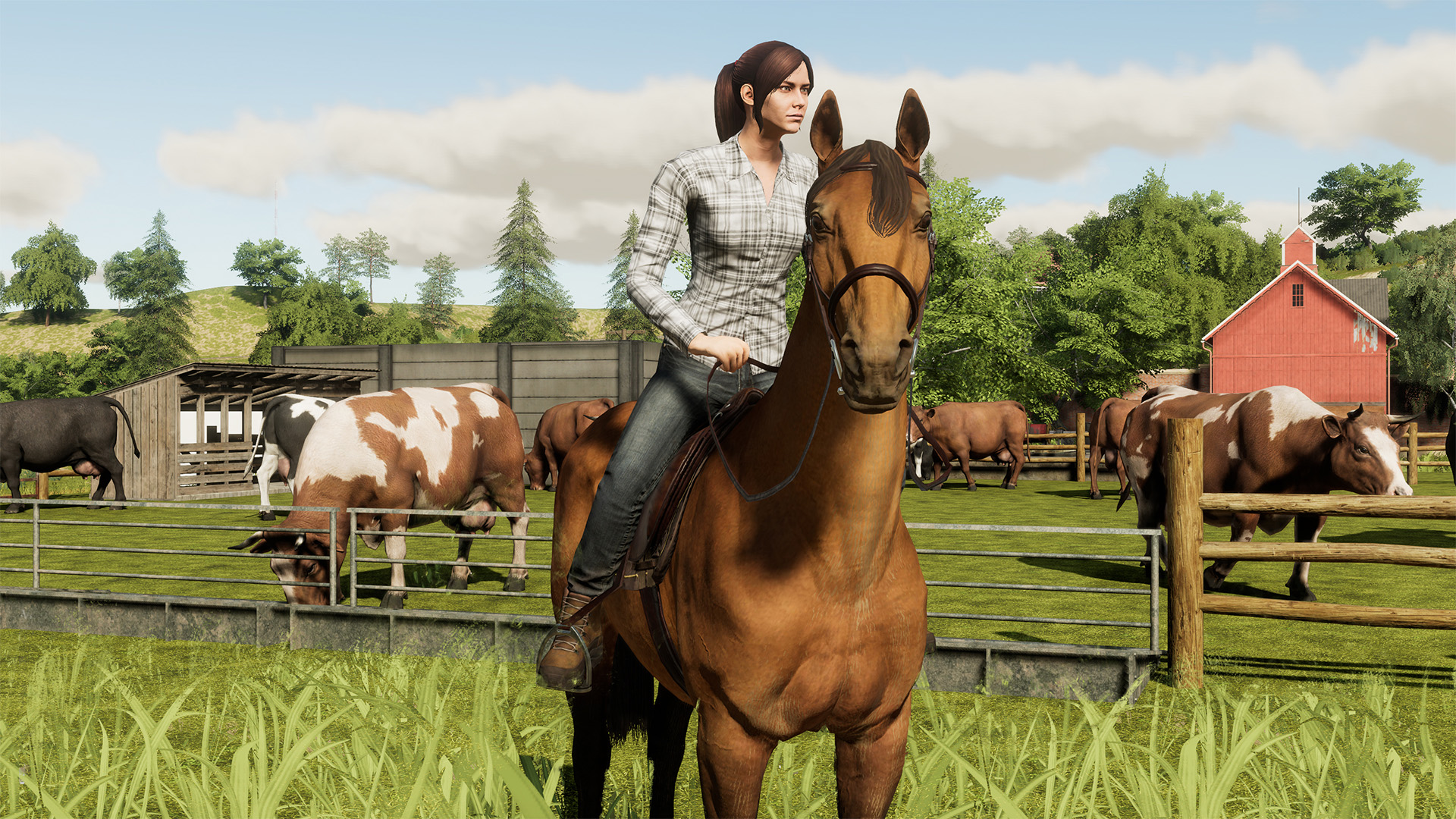 Farming Simulator 19 — изображение 5